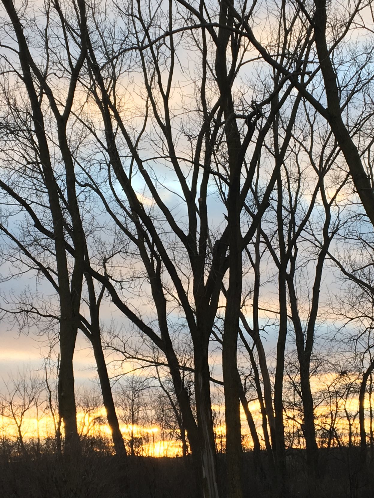 Pennsy Greenway
